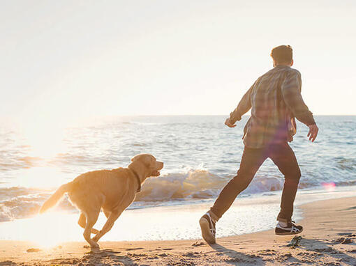 Mees ja koer jooksevad rannas